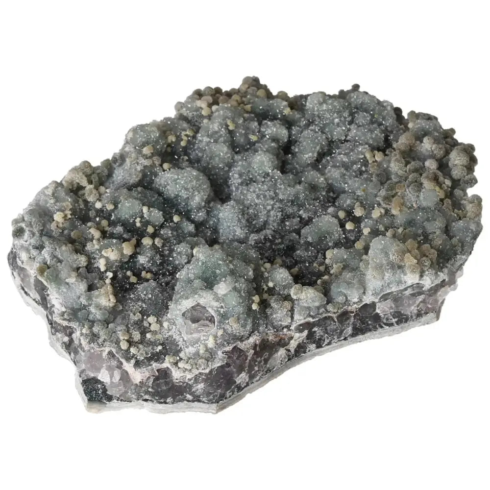 orbitvu|type:image2d