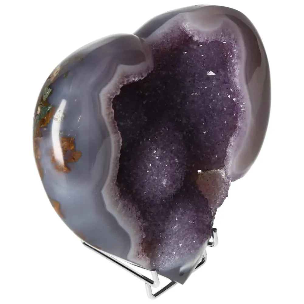 orbitvu|type:image2d