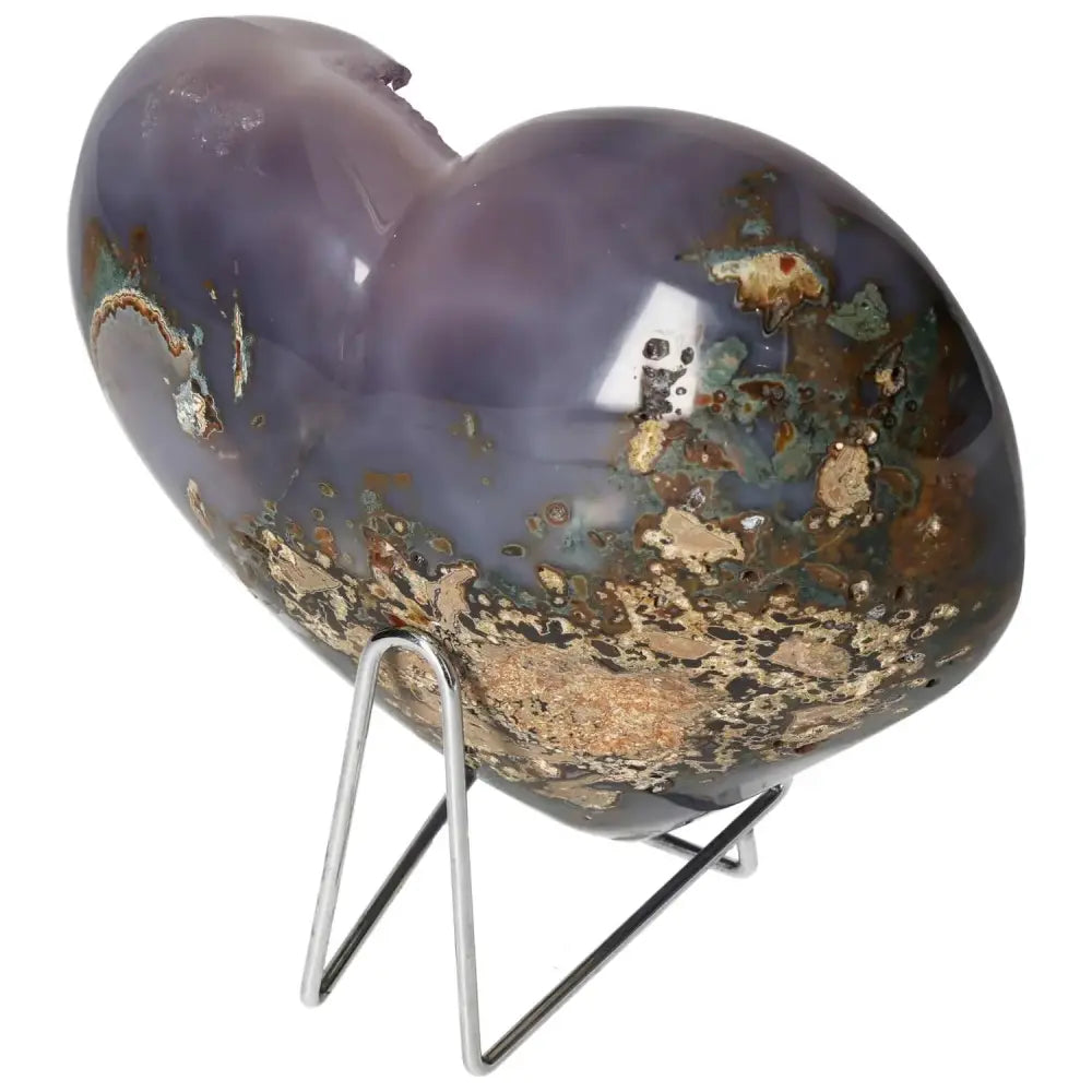 orbitvu|type:image2d