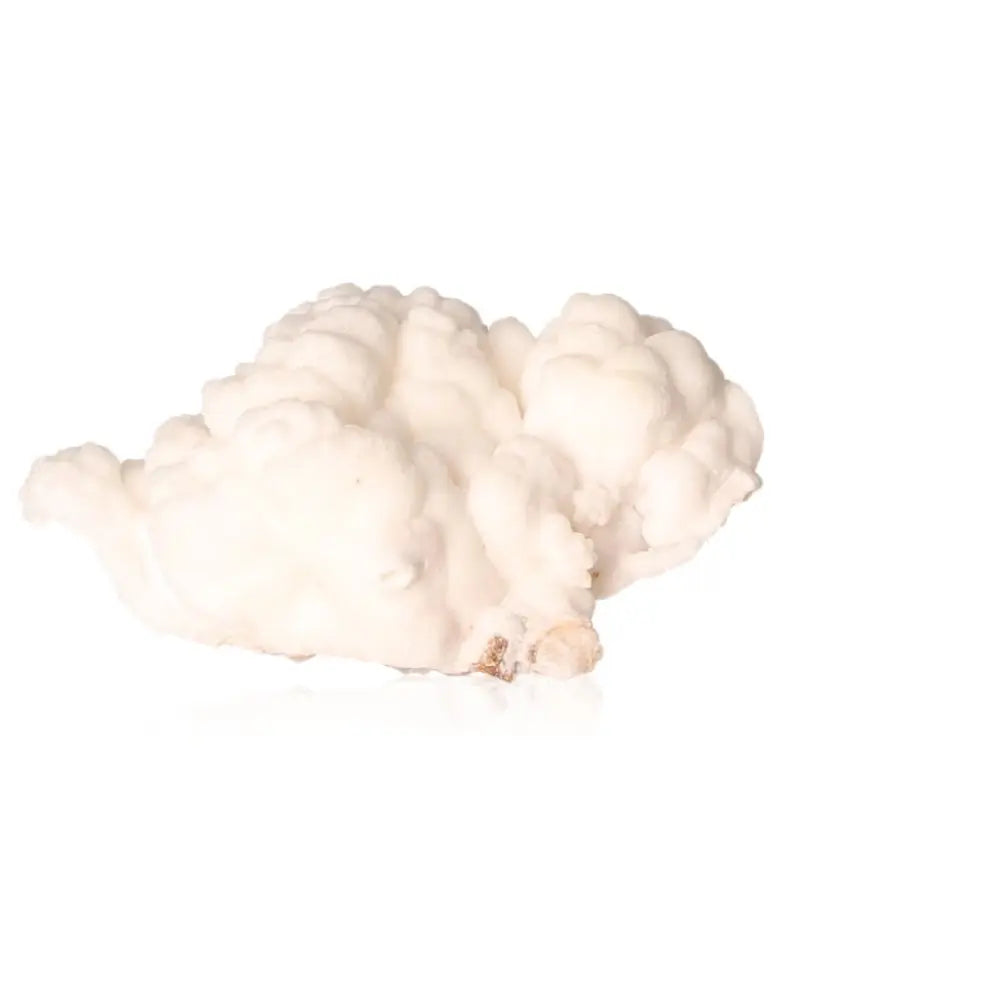 Ighoud Calcite Druze from Morocco showcasing unique shapes and earthy tones for grounding and spiritual growth.