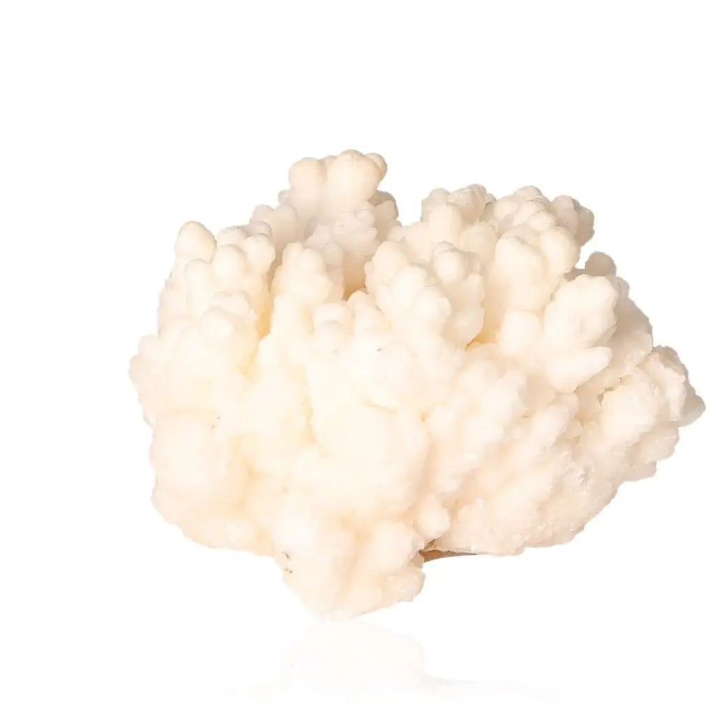 Ighoud Calcite Druze from Morocco, showcasing natural white formations, representing earth energy and spiritual grounding.