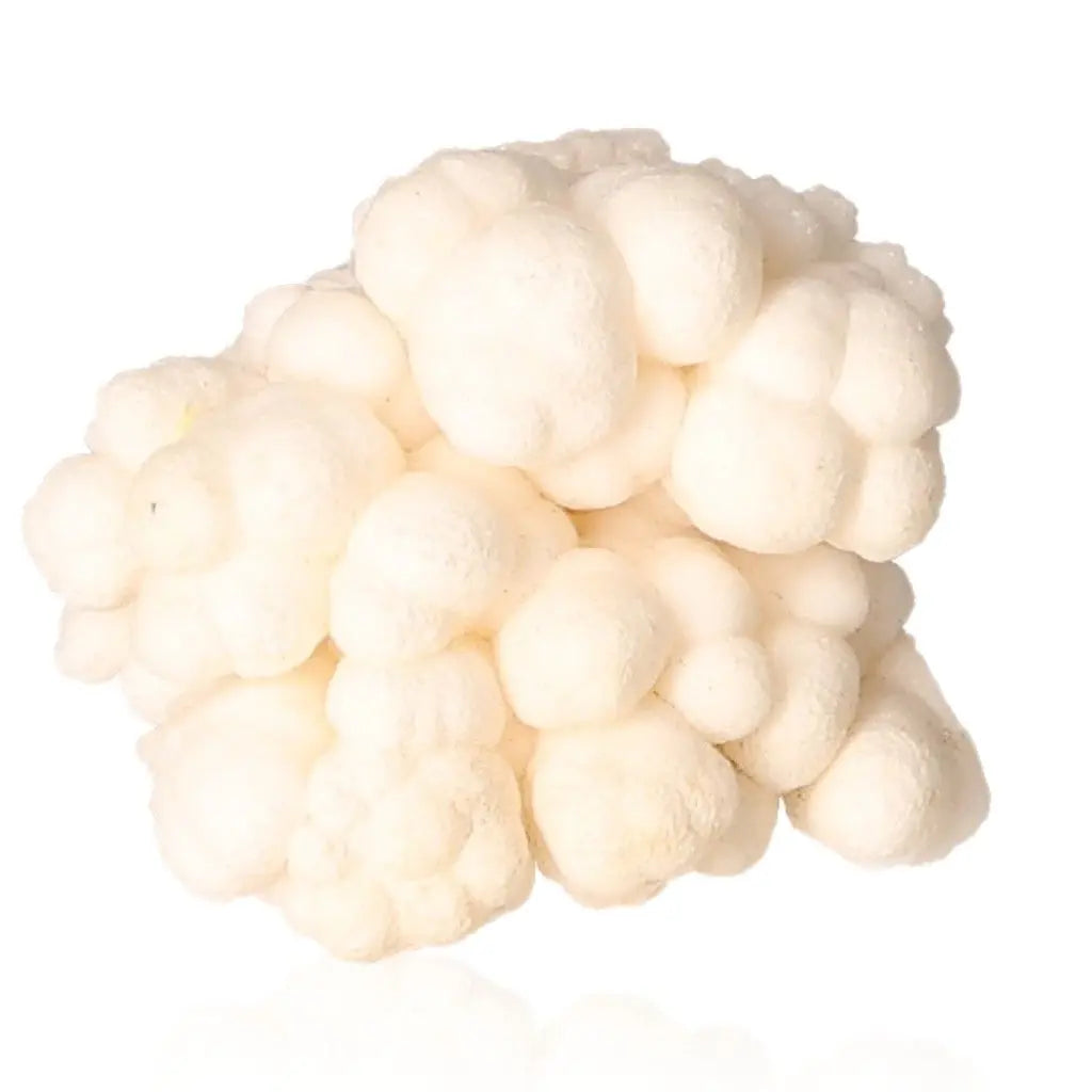 Ighoud Calcite Druze with earthy tones, showcasing unique mineral formation from Morocco for grounding and spiritual growth.