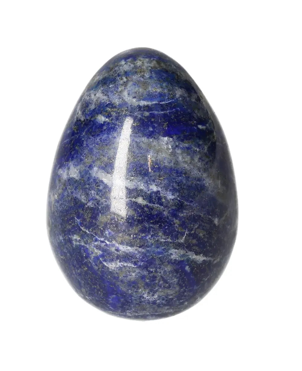 orbitvu|type:image2d