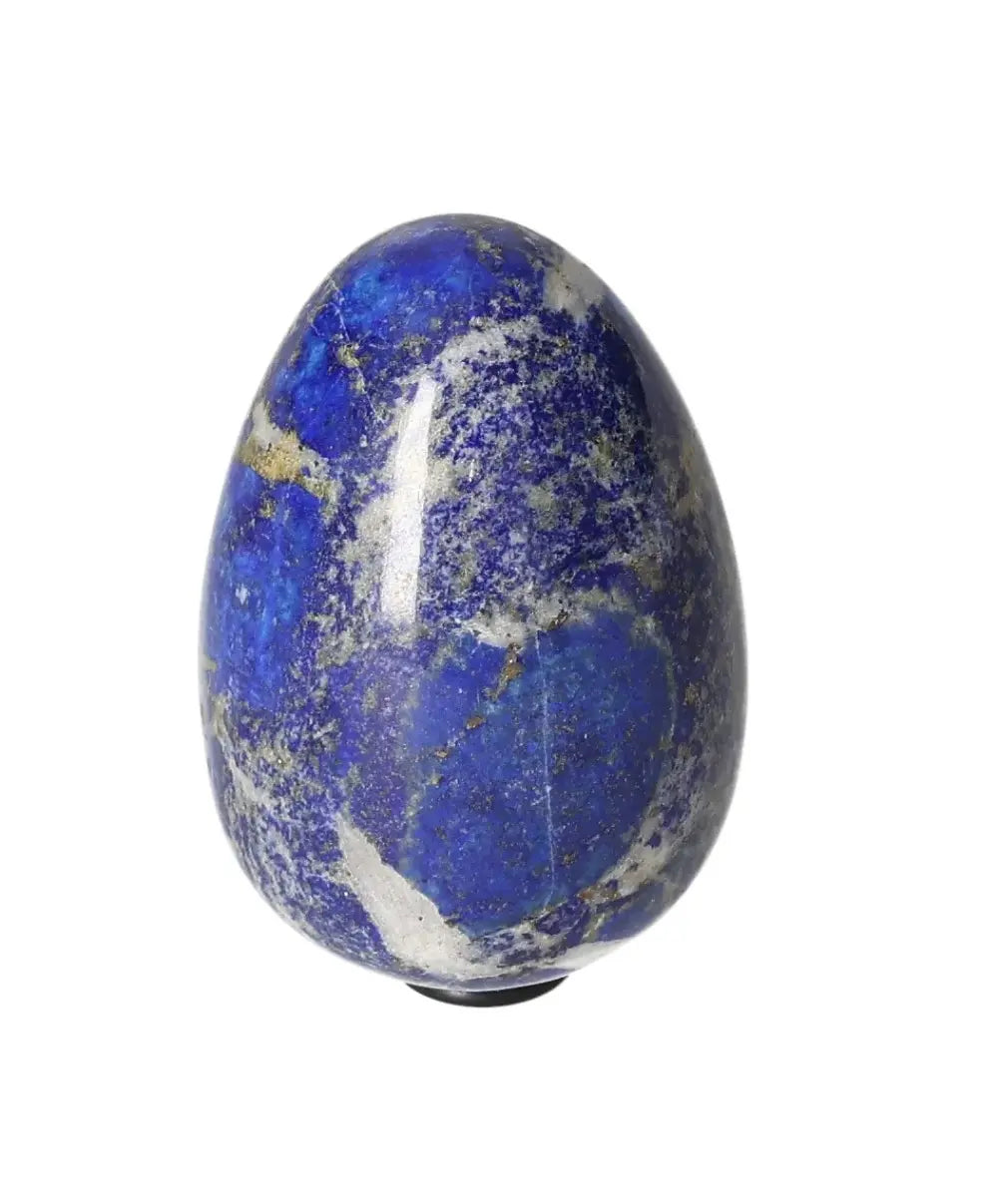 orbitvu|type:image2d