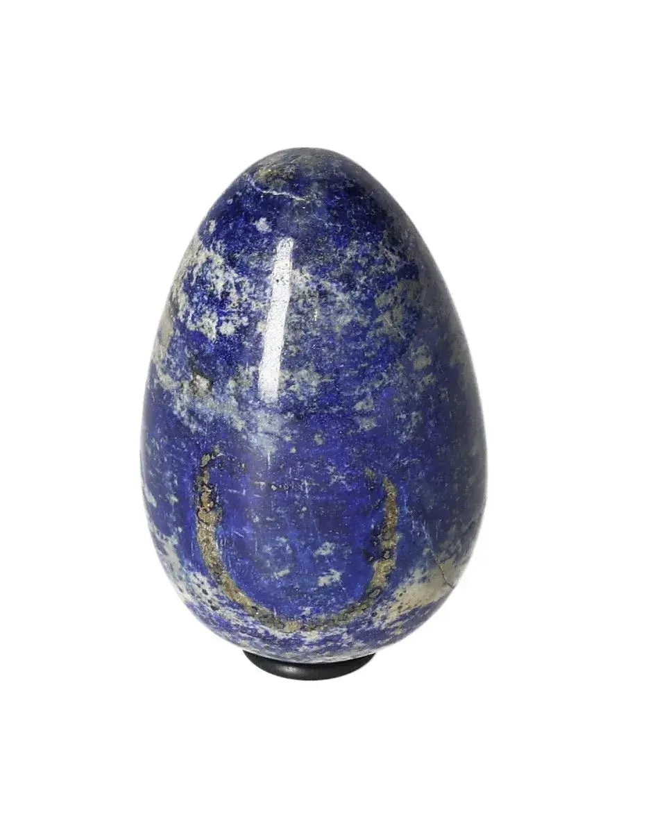 orbitvu|type:image2d