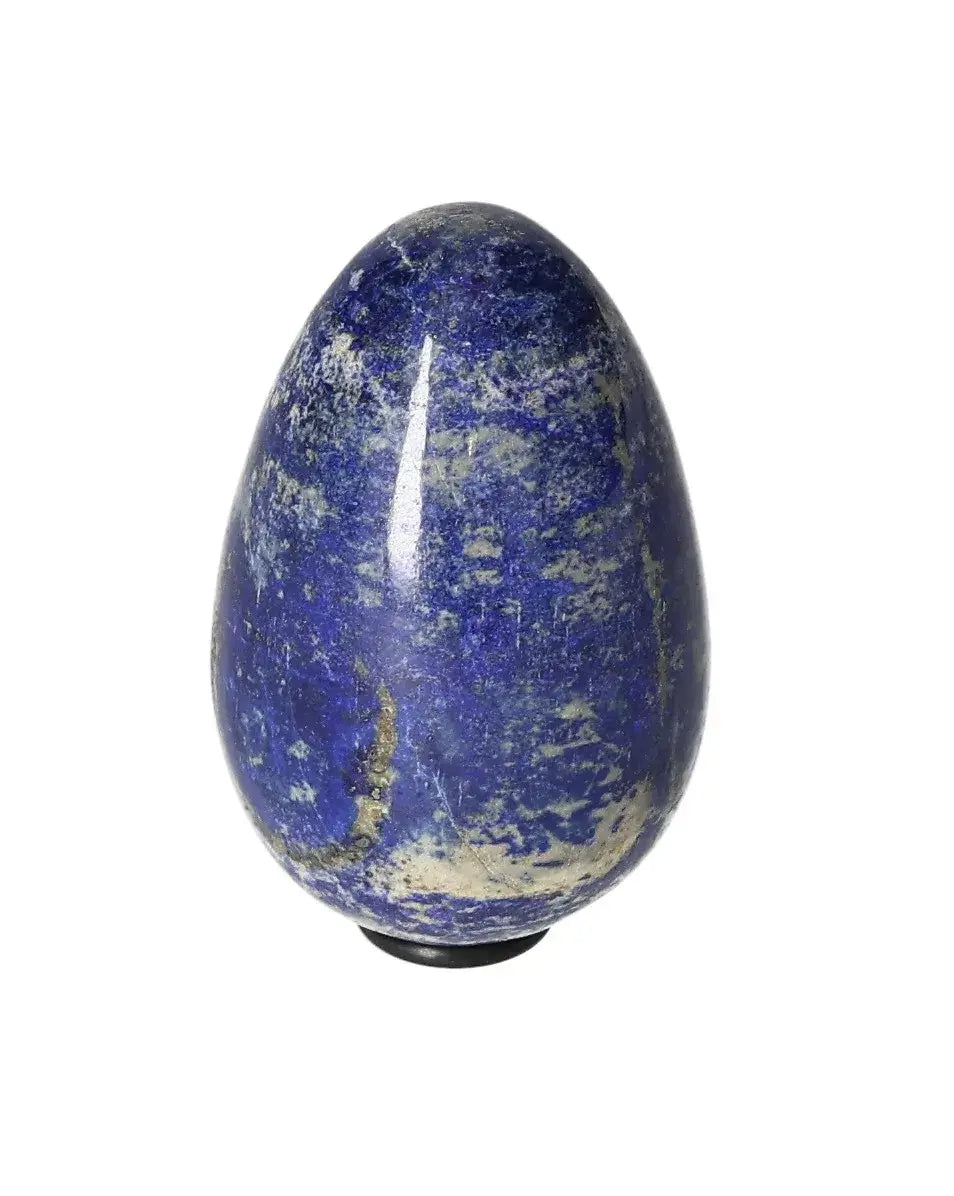 orbitvu|type:image2d