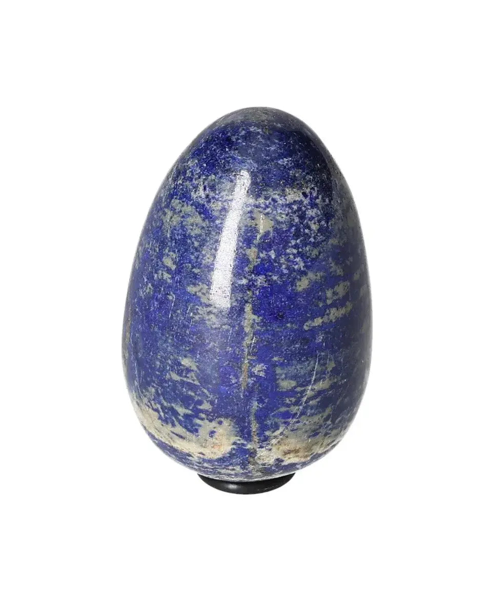 orbitvu|type:image2d