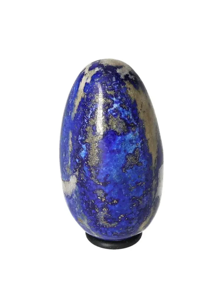 orbitvu|type:image2d