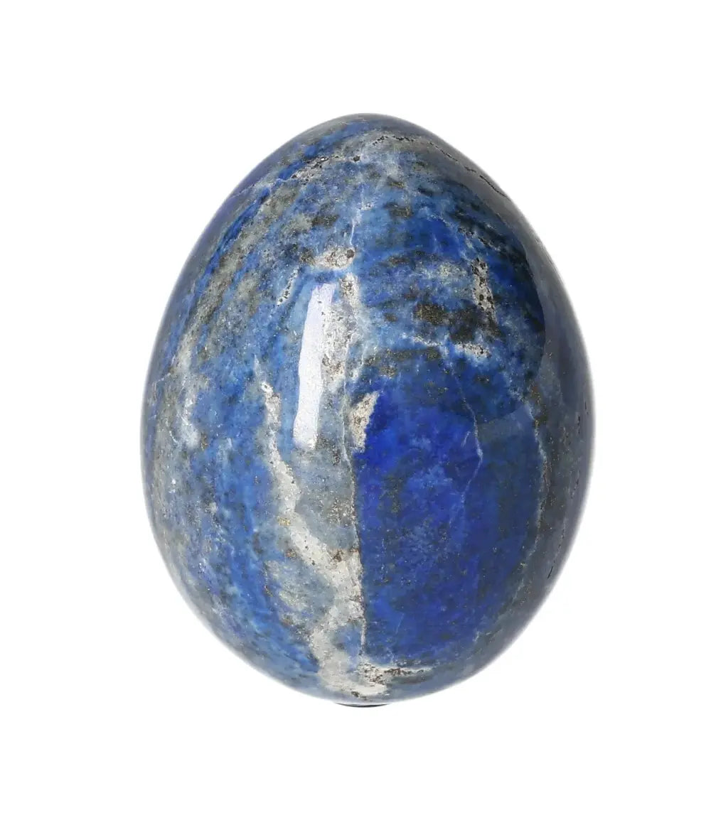 orbitvu|type:image2d