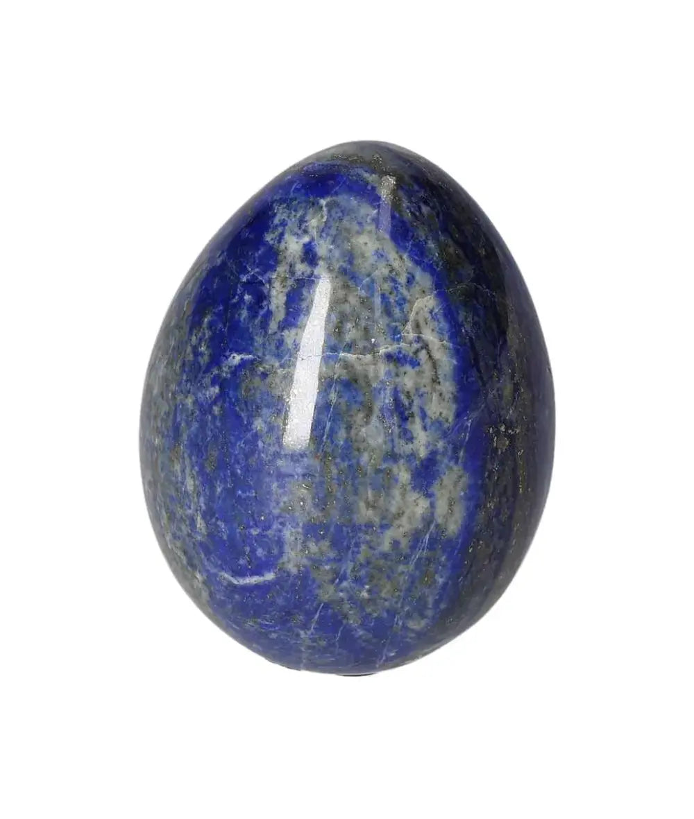 orbitvu|type:image2d