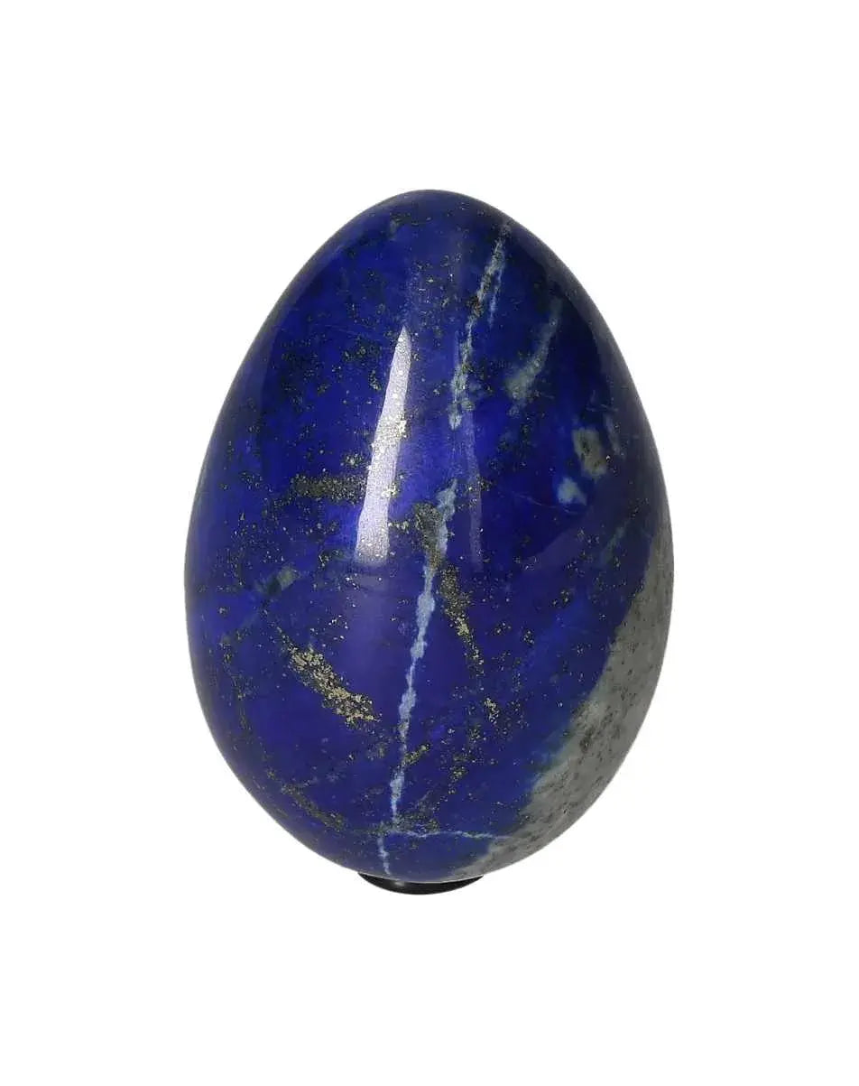 orbitvu|type:image2d