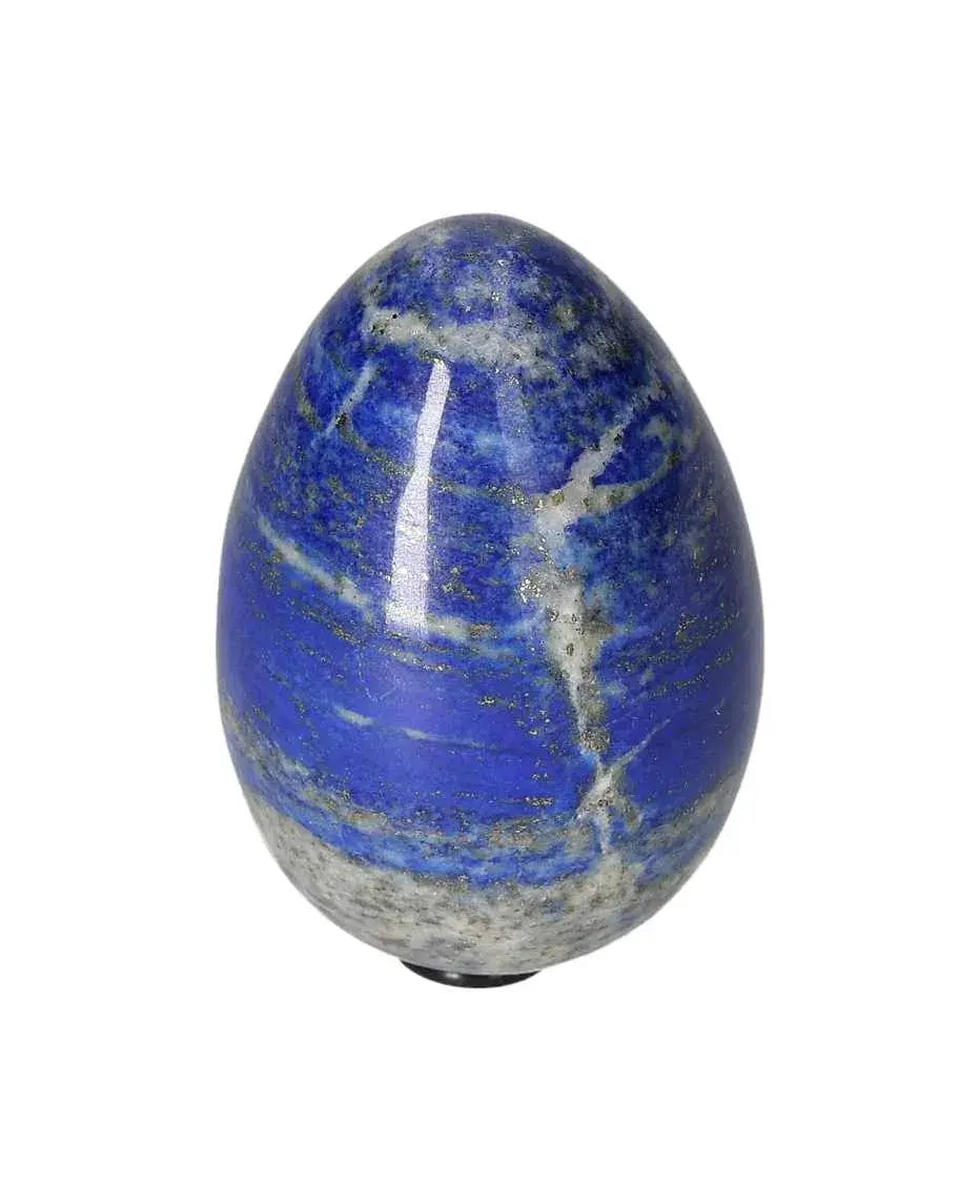 orbitvu|type:image2d