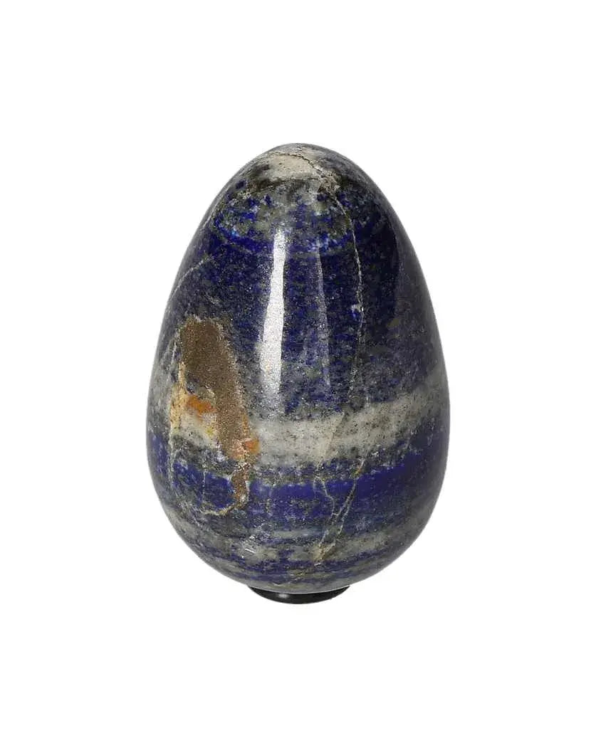 orbitvu|type:image2d