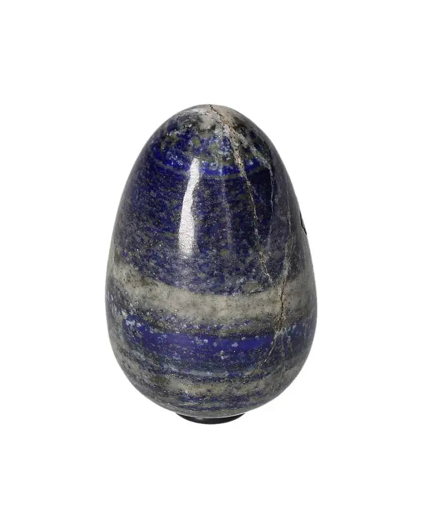 orbitvu|type:image2d