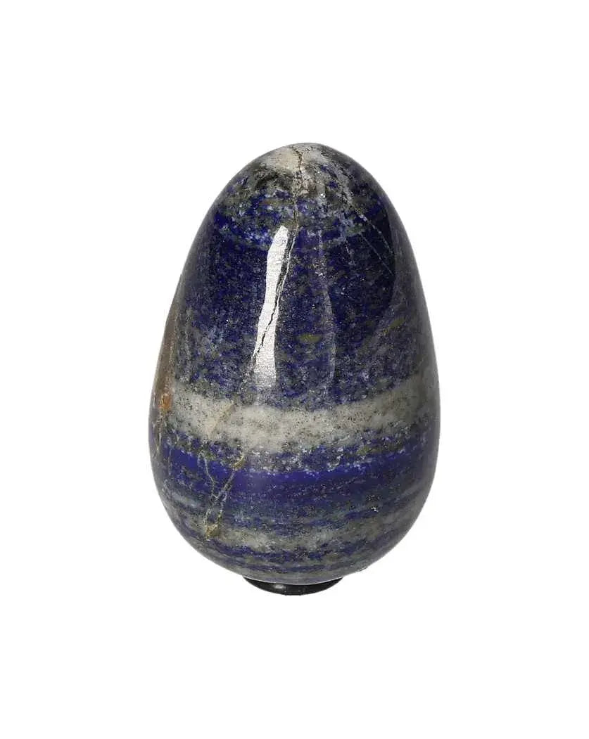 orbitvu|type:image2d