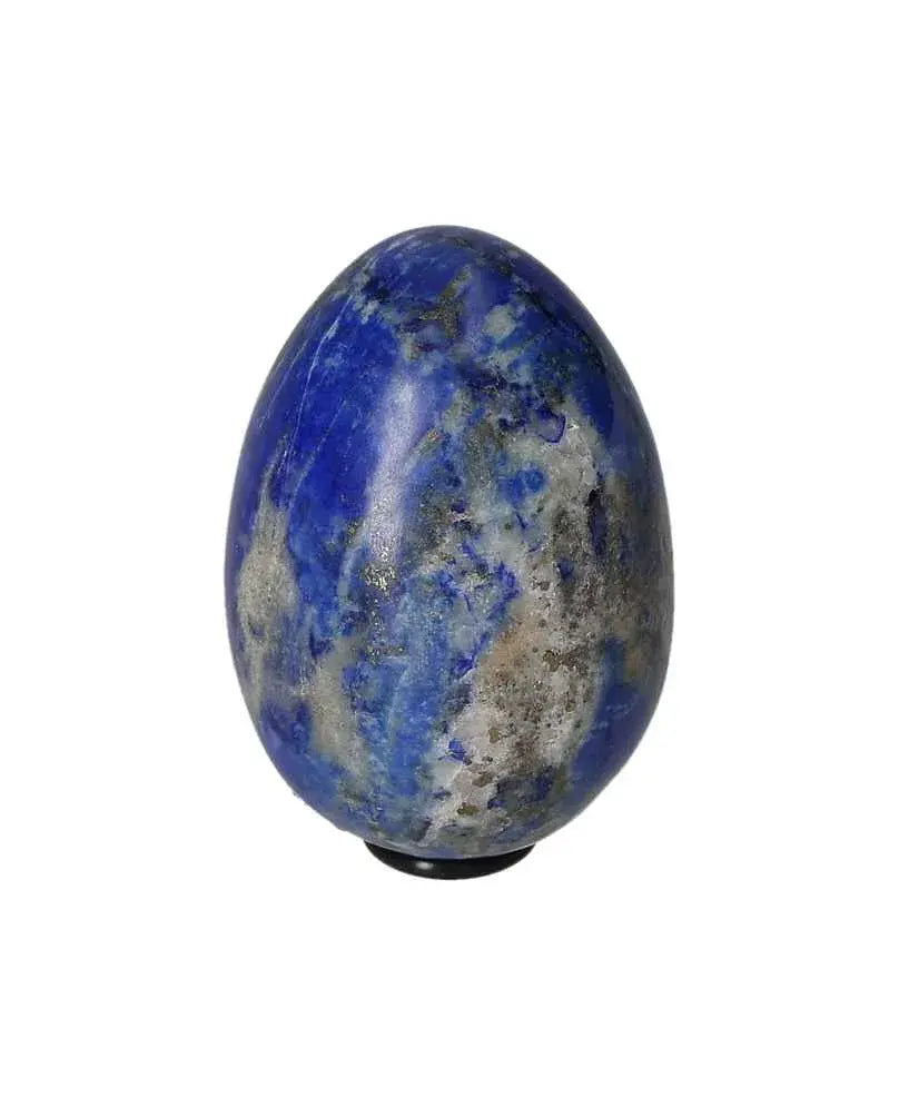 orbitvu|type:image2d