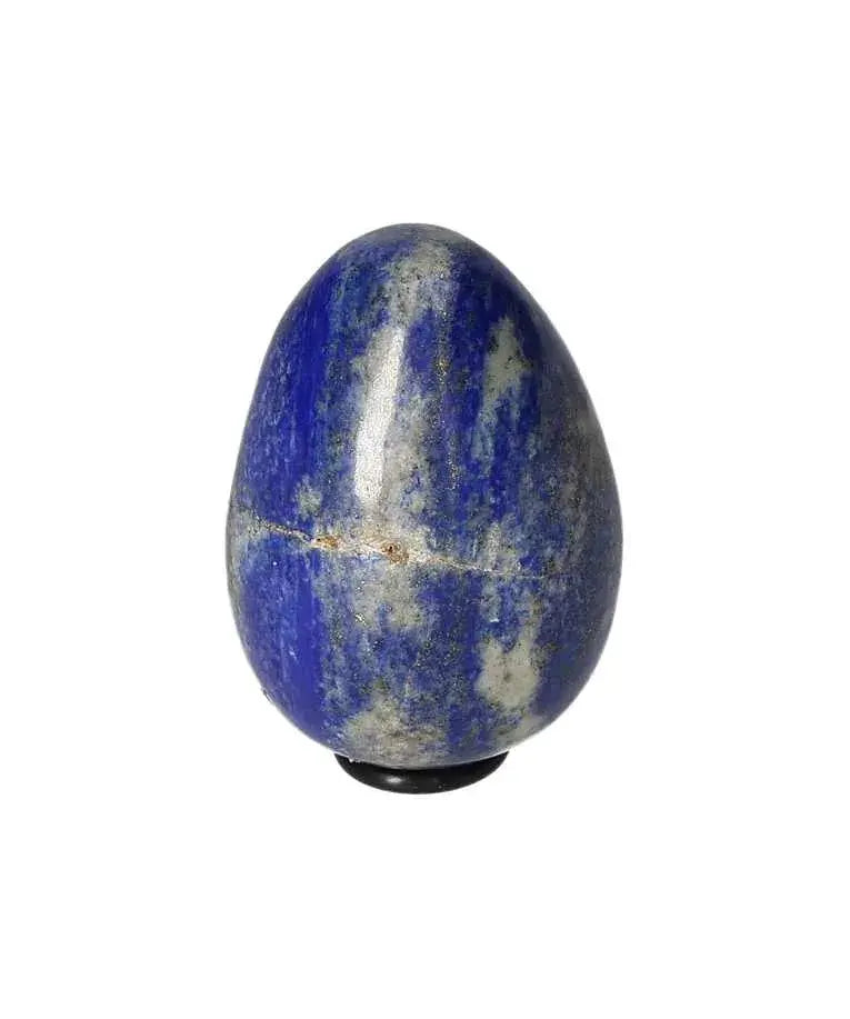 orbitvu|type:image2d