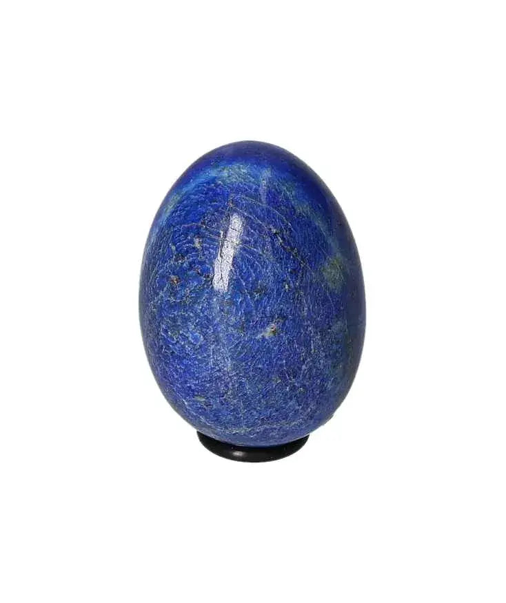 orbitvu|type:image2d