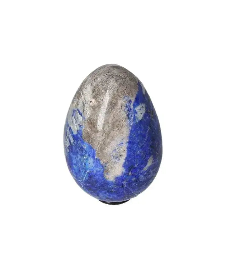 orbitvu|type:image2d