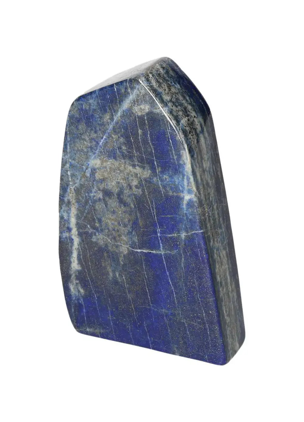 orbitvu|type:image2d