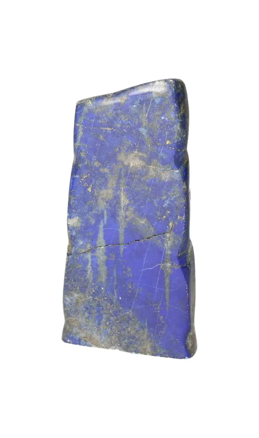 orbitvu|type:image2d