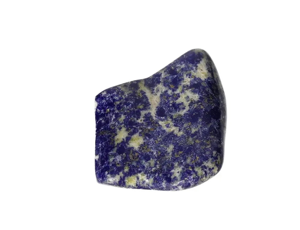 orbitvu|type:image2d