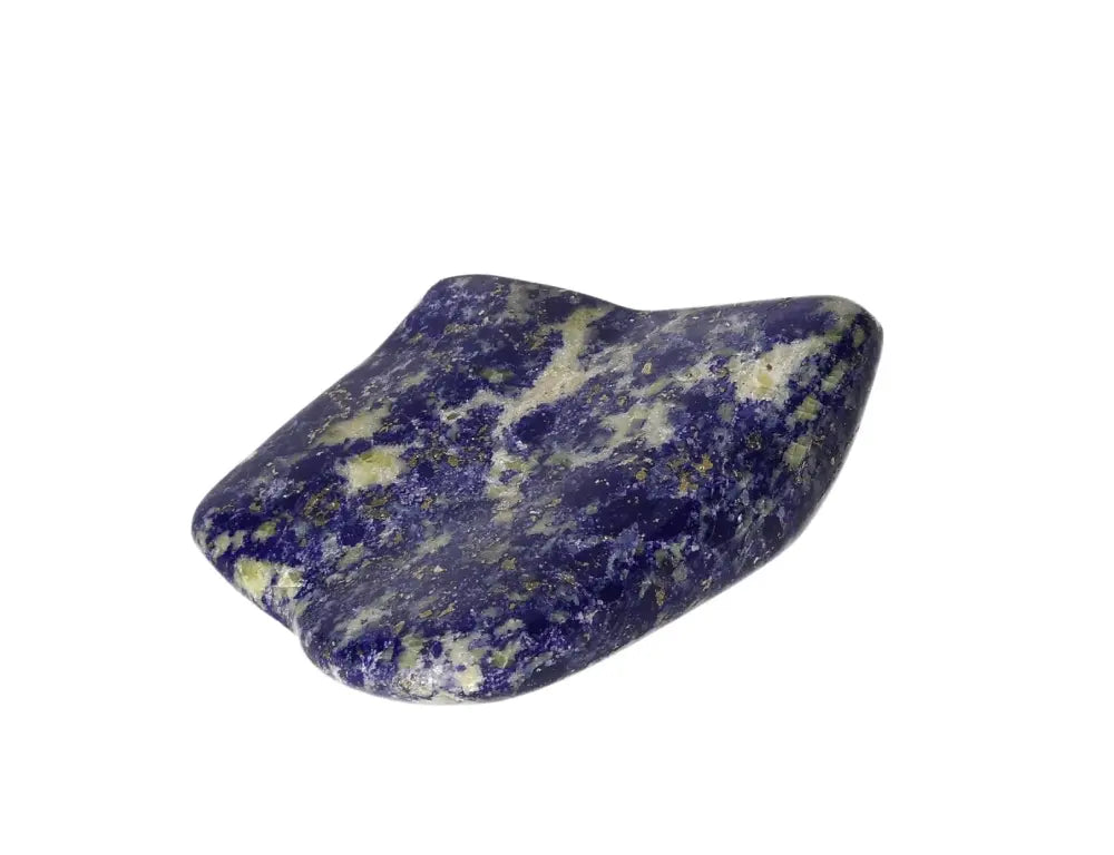 orbitvu|type:image2d