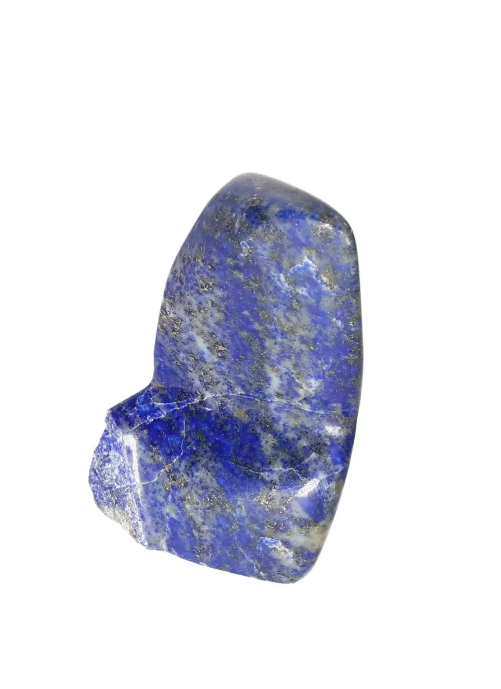 orbitvu|type:image2d