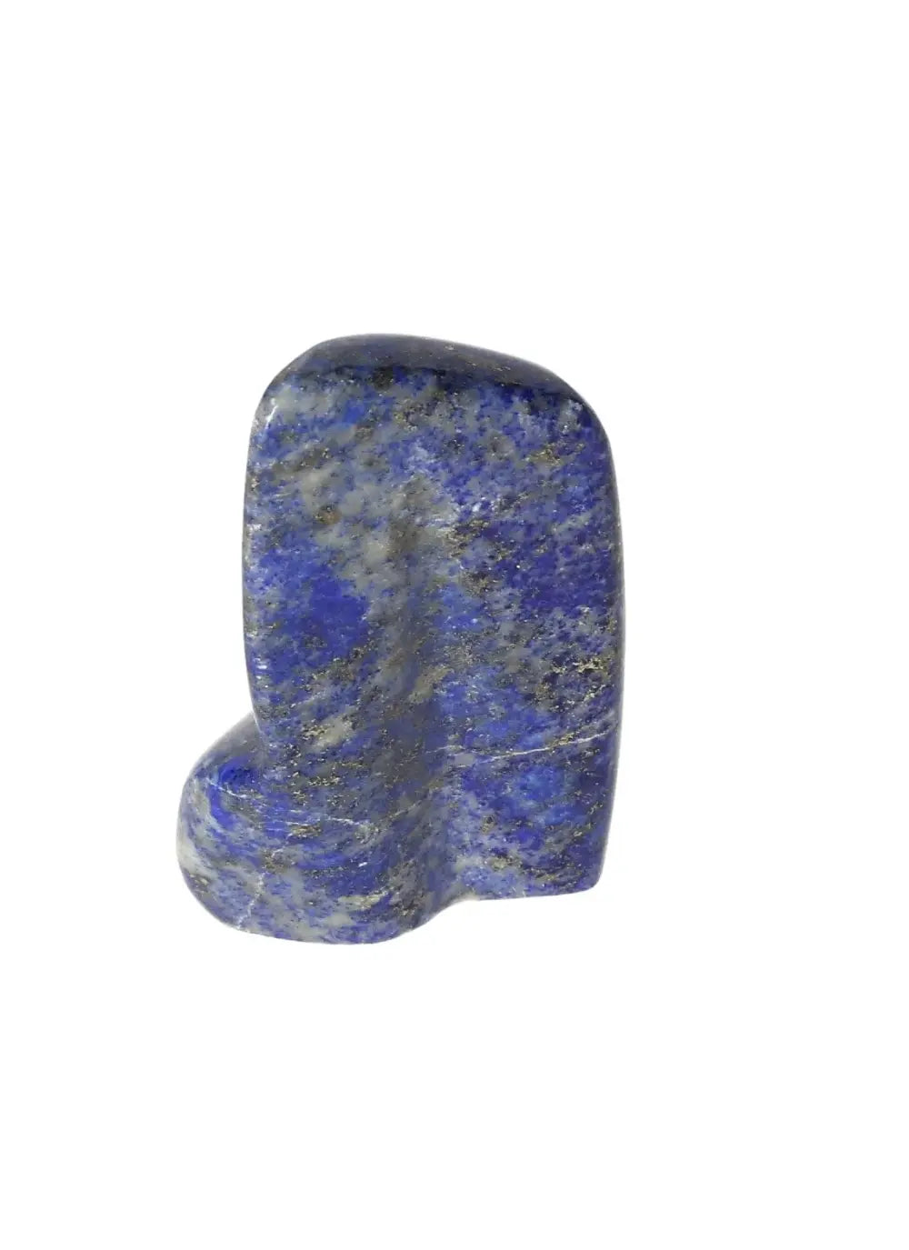 orbitvu|type:image2d