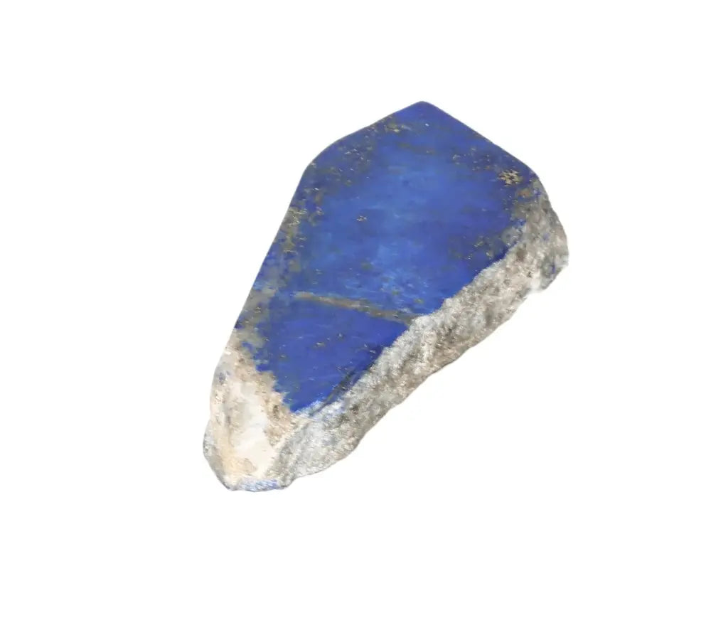 orbitvu|type:image2d