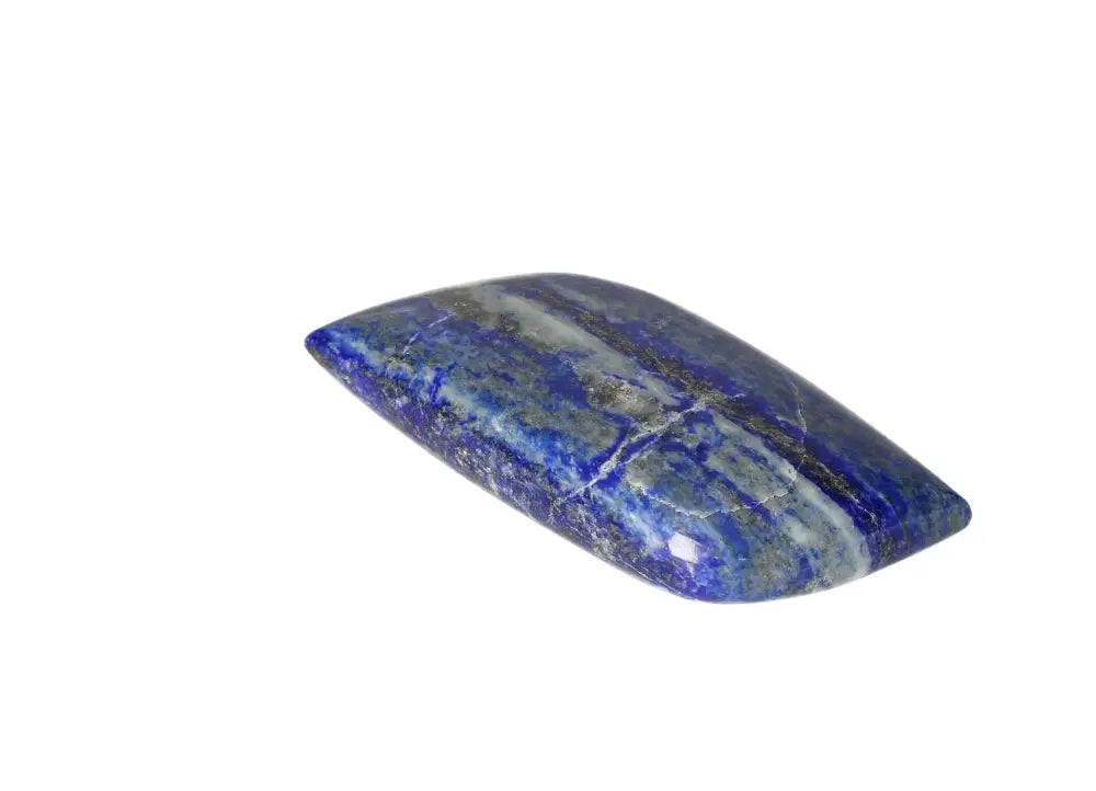 orbitvu|type:image2d