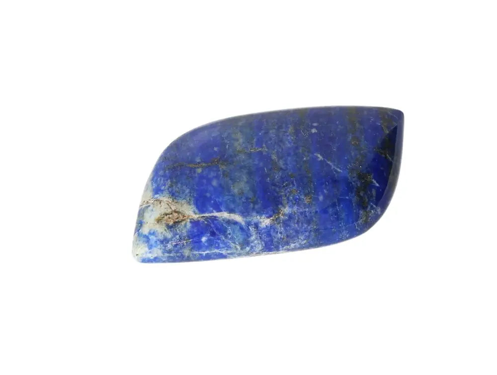 orbitvu|type:image2d