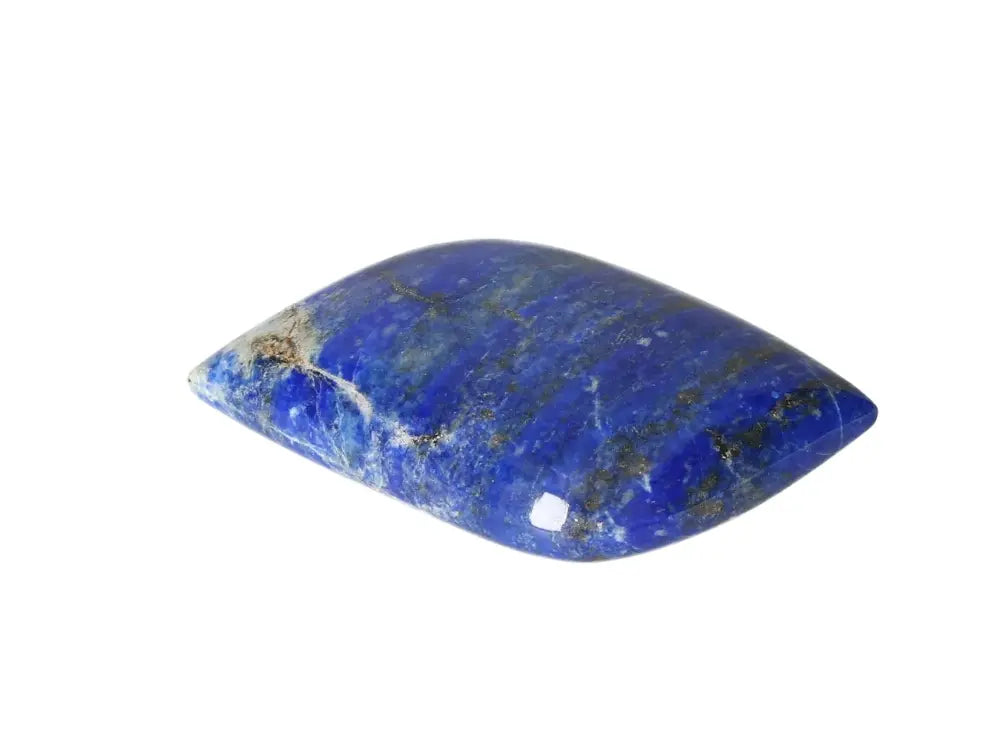 orbitvu|type:image2d