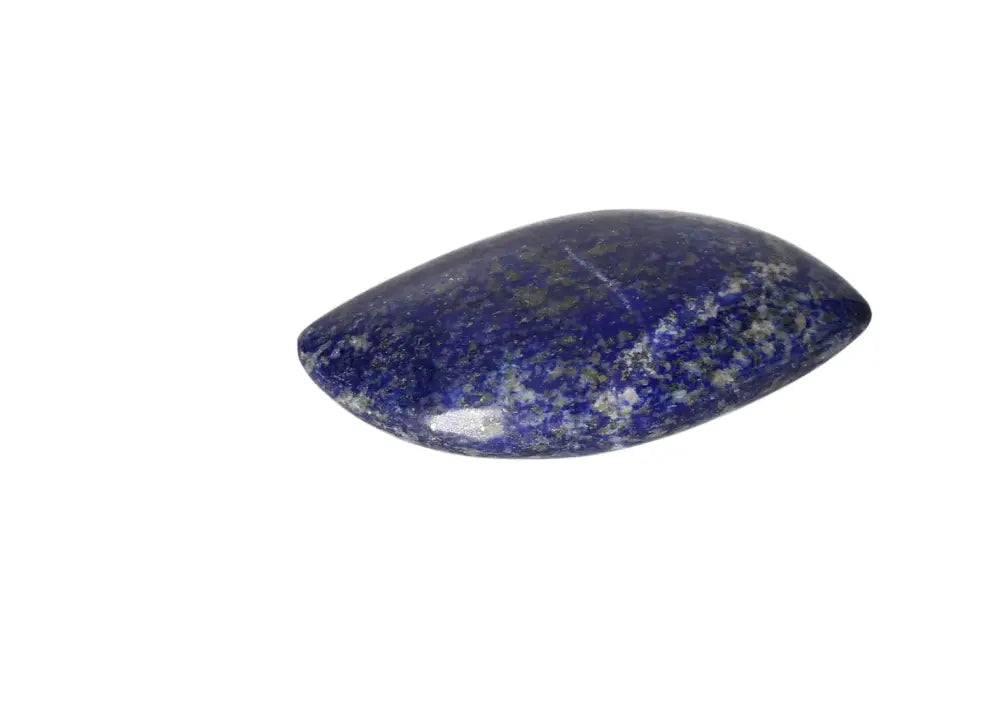 orbitvu|type:image2d