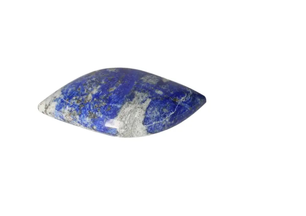 orbitvu|type:image2d