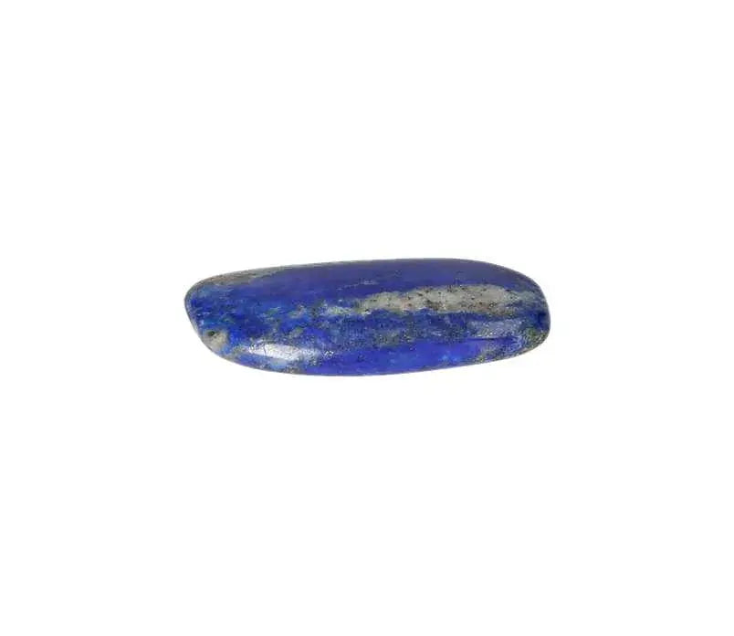 orbitvu|type:image2d