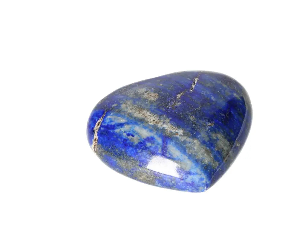 orbitvu|type:image2d