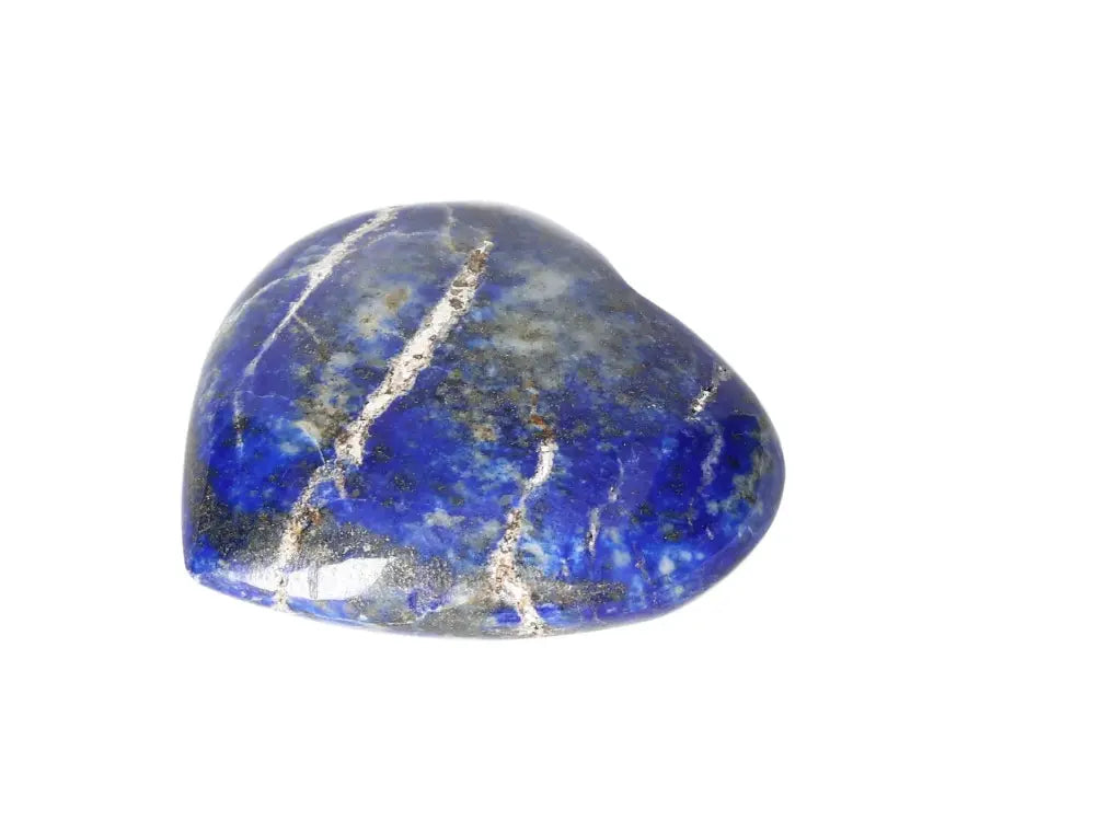 orbitvu|type:image2d