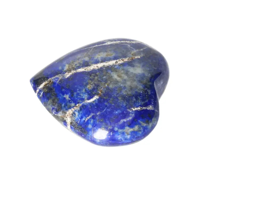 orbitvu|type:image2d