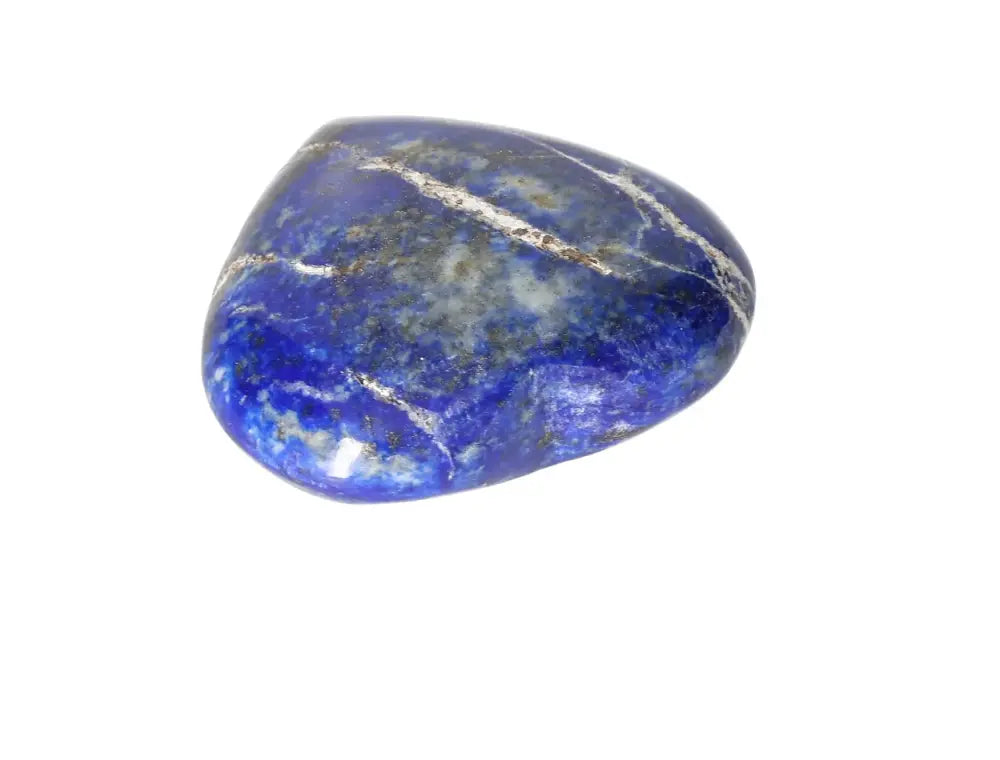 orbitvu|type:image2d