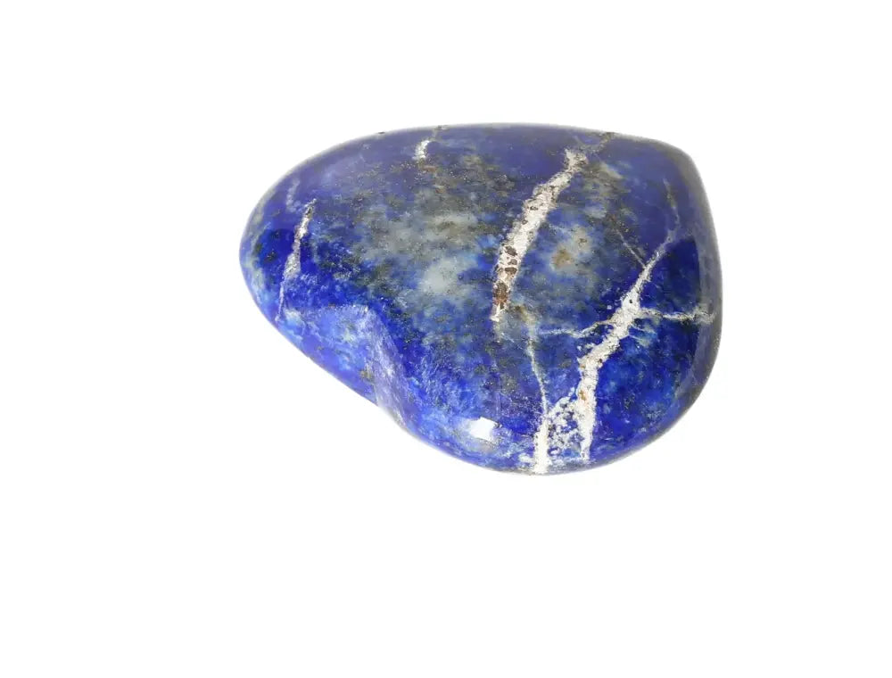 orbitvu|type:image2d