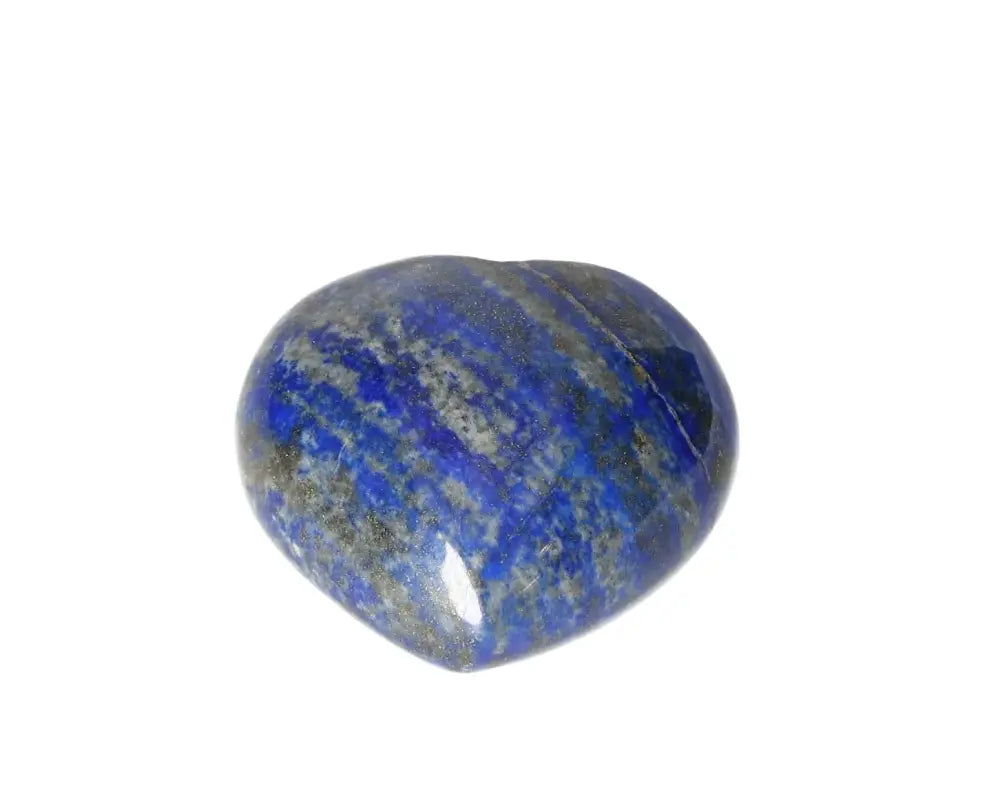 orbitvu|type:image2d