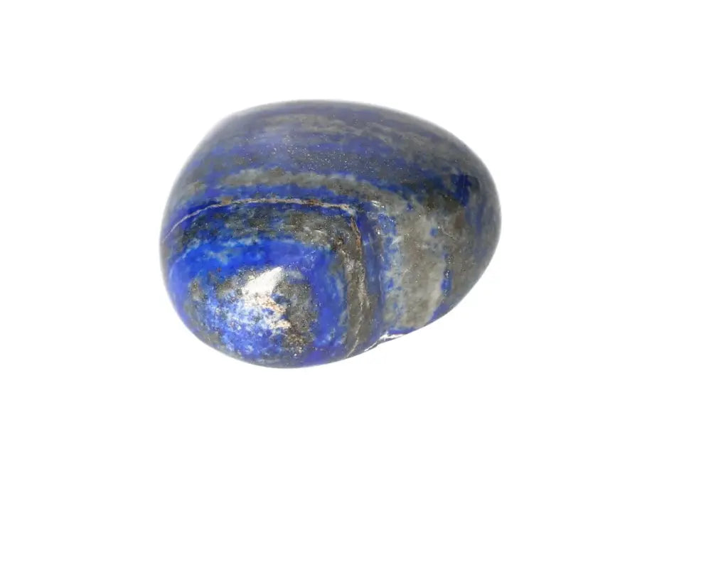 orbitvu|type:image2d