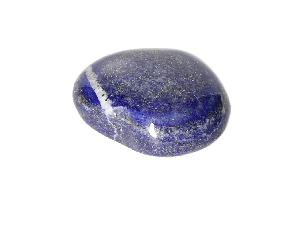 orbitvu|type:image2d