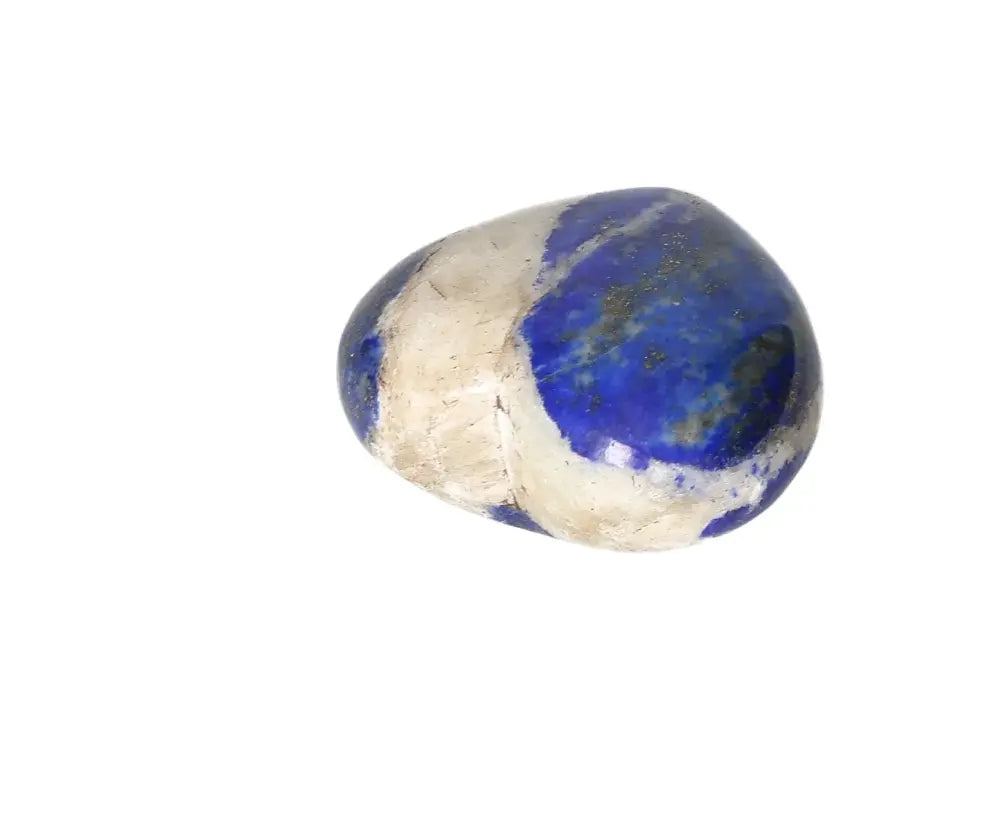 orbitvu|type:image2d