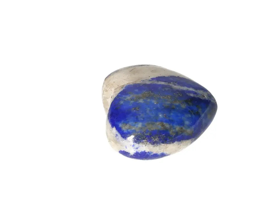 orbitvu|type:image2d