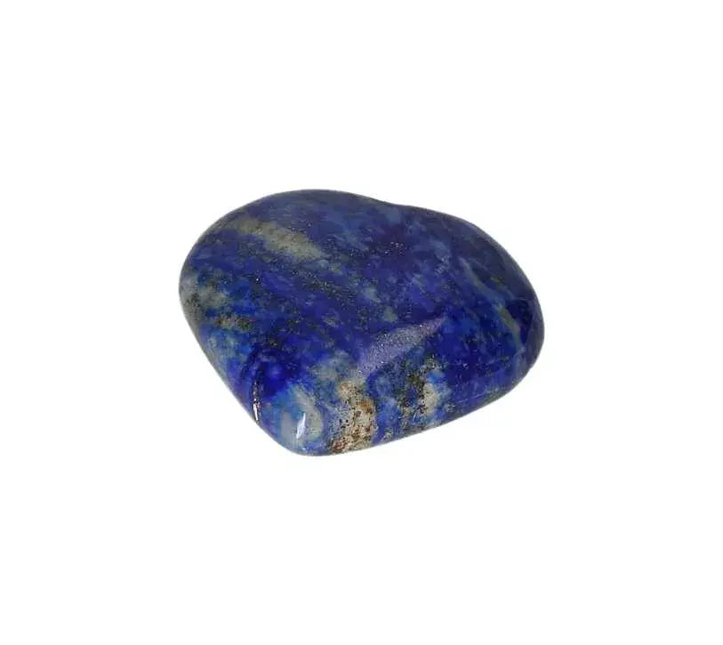 orbitvu|type:image2d