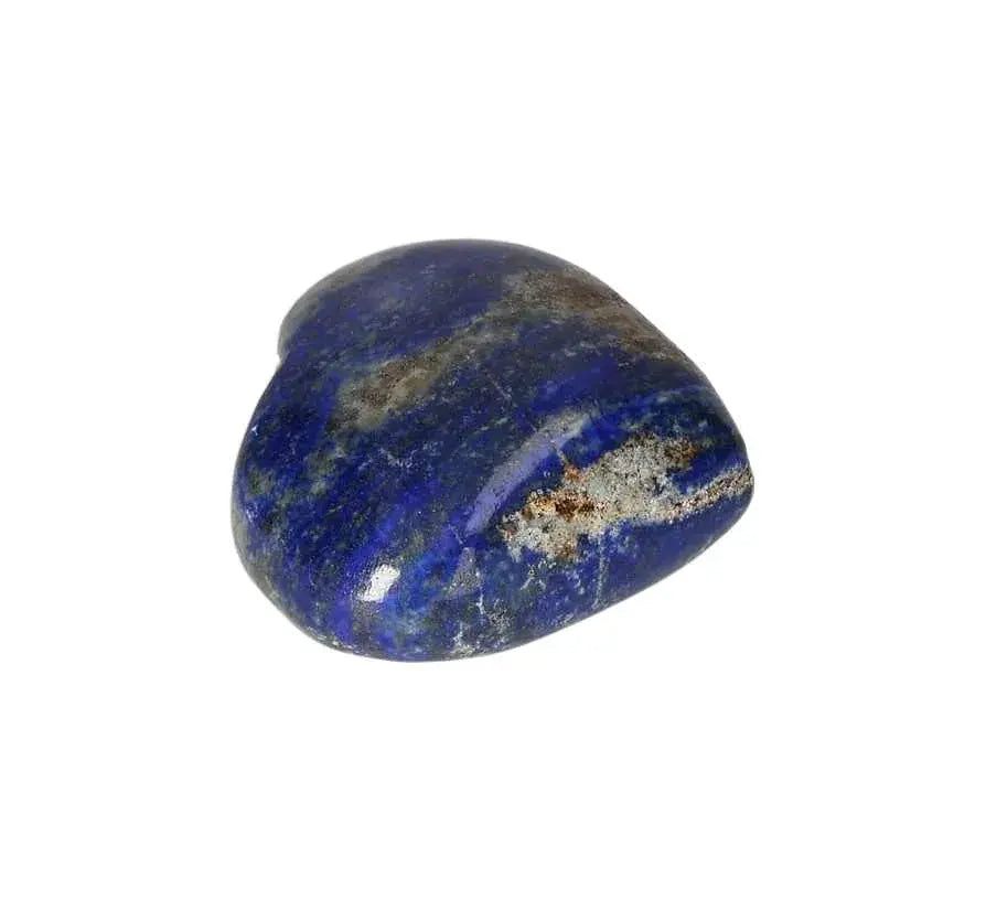 orbitvu|type:image2d