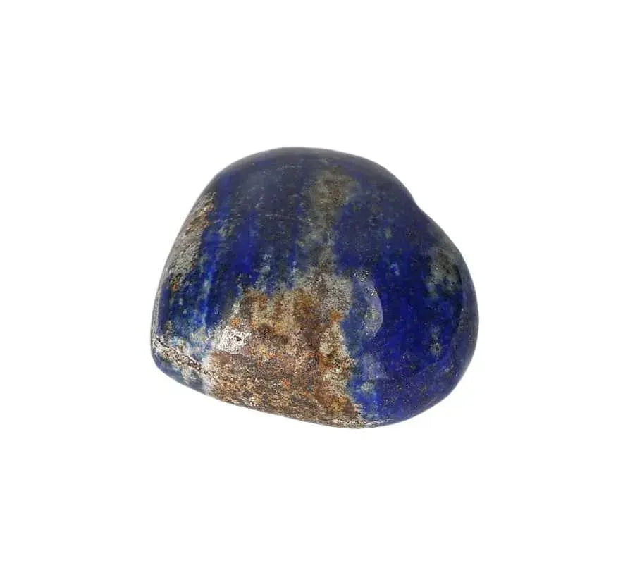 orbitvu|type:image2d