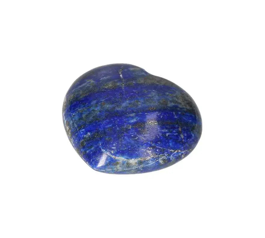 orbitvu|type:image2d